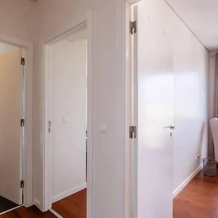 Quiet & Comfy Azorean Sapphire